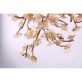 DV3953 Almond